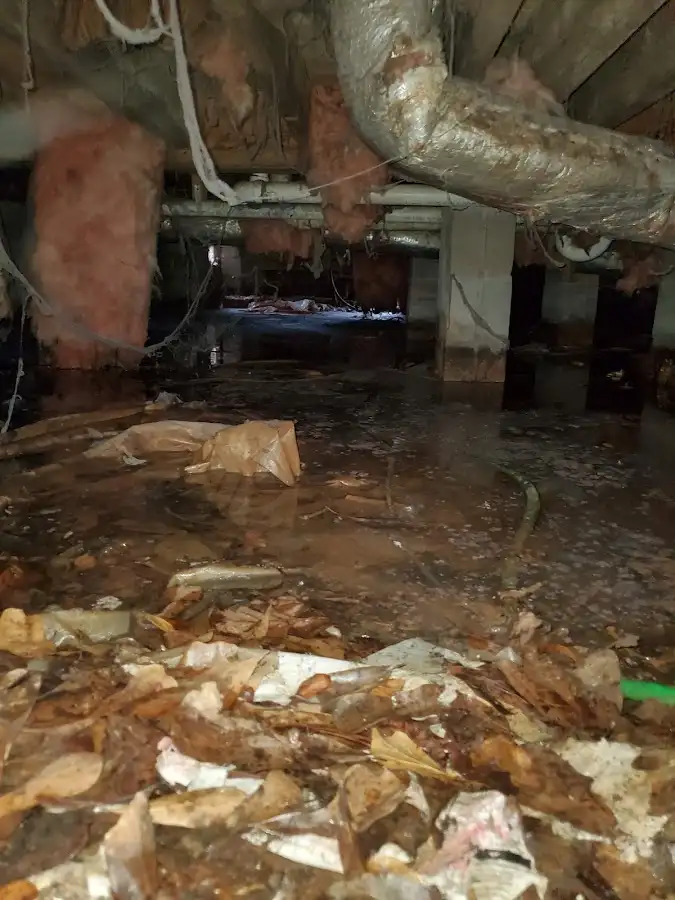 Crawl space flood assessment for Commercial Water Damage Restoration in Robstown